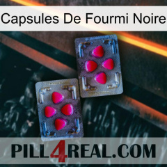 Black Ant Capsules 15